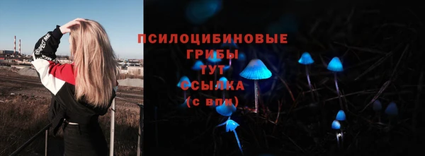 меф VHQ Рославль