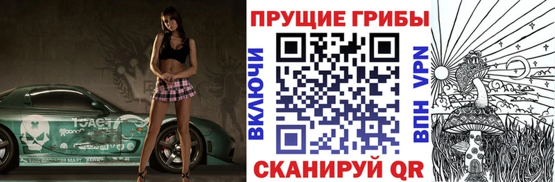 MEGA tor  Кириллов  Псилоцибиновые грибы мухоморы 